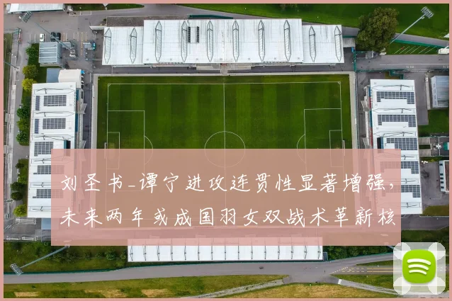 刘圣书_谭宁进攻连贯性显著增强，未来两年或成国羽女双战术革新核心力量