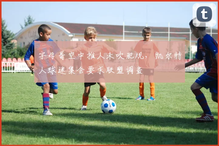 字母哥空中推人未吹犯规，凯尔特人球迷集会要求联盟调查